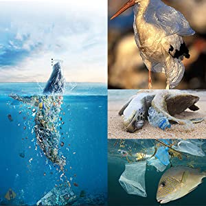 compostable trash bags