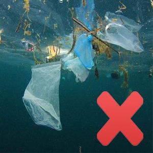 Small Biodegradable Trash Bags