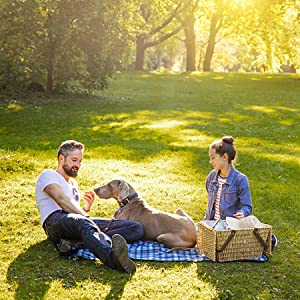 Poop Bags for Your Best Friends
