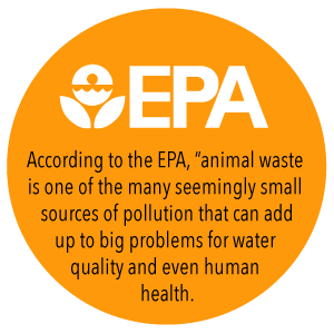 بند کشی 100٪ زیست تخریب پذیر کمپوست پذیر کیسه زباله غیر پلاستیکی سفارشی، بند پلاستیکی کمپوست زیست تخریب پذیر سازگار با محیط زیست 1