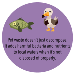 بند کشی 100٪ زیست تخریب پذیر کمپوست پذیر کیسه زباله غیر پلاستیکی سفارشی، بند پلاستیکی کمپوست زیست تخریب پذیر سازگار با محیط زیست 2