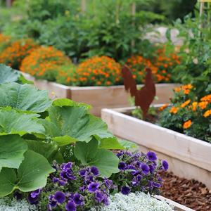 landscape fabric, weed barrier, ecogardener, ecogardener landscape fabric