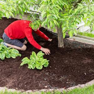 landscape fabric, weed barrier, ecogardener, ecogardener landscape fabric