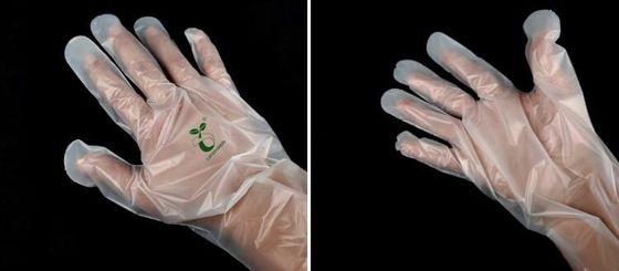 Wholesale disposable gloves, plastic gloves, biodegradable gloves, compostable gloves, bio gloves, corn starch gloves