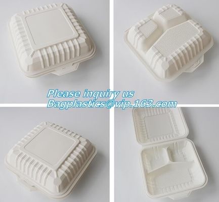 Disposable Plastic Takeaway Meal Tray, Corn starch blister packaging tray, blister packaging