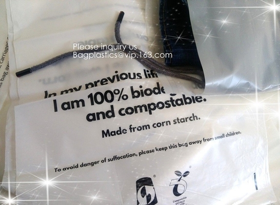 100% Biodegradable plant based PBAT PLA compostable stand up pouch kraft paper zip lock bags for clothes cosmetics makeu