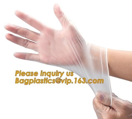 Medical Exam Use Disposable Powder Free Vinyl Gloves/Non Latex Vinyl Gloves/PVC Gloves,Disposable PVC Gloves Powder Free