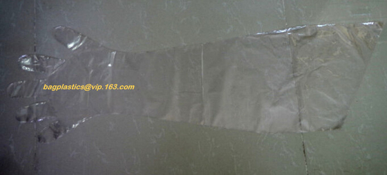 cornstarch made biodegradable compostable disposable plastic pe food handliDisposable Transparent HDPE PE Plastic Gloves
