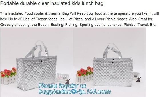 Easy  Closure - 100% Environmental Friendly - Waterproof & Easy Cleaning | Silver Color cool insulation bag BAGEAS