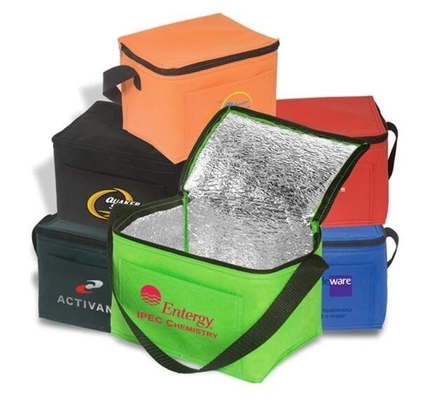 Frozen Food Insulated Cooler Bag Food Delivery, Sturdy Zipper, Foldable, Washable, Heavy Duty, Stands Upright, Completel