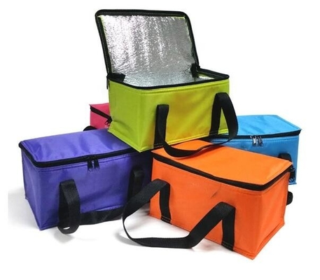 Frozen Food Insulated Cooler Bag Food Delivery, Sturdy Zipper, Foldable, Washable, Heavy Duty, Stands Upright, Completel