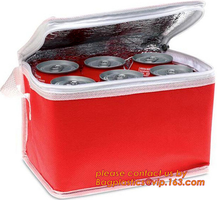 Frozen Food Insulated Cooler Bag Food Delivery, Sturdy Zipper, Foldable, Washable, Heavy Duty, Stands Upright, Completel