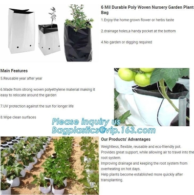 15 GALLON Hole Plastic LDPE Grow Bags For Nursery, Black & White PE Grow Bags for Hydroponic and Horticulture use, BAGEA