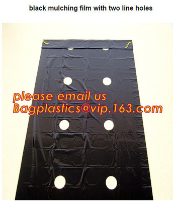 plastic tomatoes home garden polytunnel greenhouse film,Film Covering Tomato Planting Greenhouse,agricultural TUV polyet