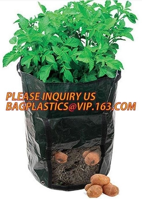 Smart Grow Bags For Potato/Plant Container/Aeration Fabric Pots With Handles Fabric Plants Pots with Handles, Indoor