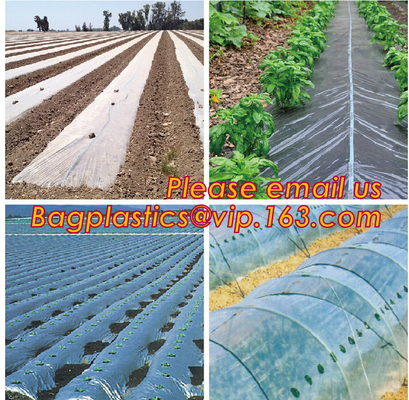 Agricultural Perforated Biodegradable Mulch Film Mulch Film Gardening Farming Film Outdoor Garden Landscape Weed Barrier
