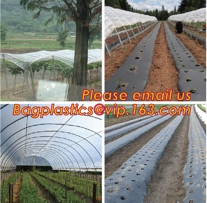 Agricultural Perforated Biodegradable Mulch Film Mulch Film Gardening Farming Film Outdoor Garden Landscape Weed Barrier