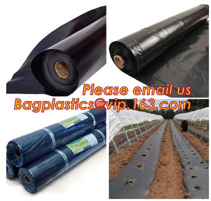 Agricultural Perforated Biodegradable Mulch Film Mulch Film Gardening Farming Film Outdoor Garden Landscape Weed Barrier