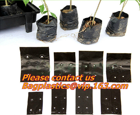 Fabric Seedling Bags With 60 Plant Labels Tags, Plant Grow Bags Biodegradable Non-Woven Nursery Bags Seed Starter Bags