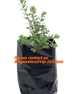 Fabric Seedling Bags With 60 Plant Labels Tags, Plant Grow Bags Biodegradable Non-Woven Nursery Bags Seed Starter Bags