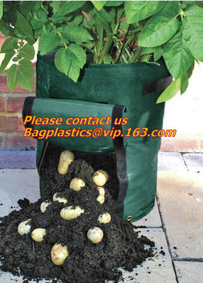 Heavy Duty 300G Thickened Nonwoven Plant Fabric Pots Strap Handles Garden Plant Bags / 6-Packs 5 Gallon Grow Bags/Aerati