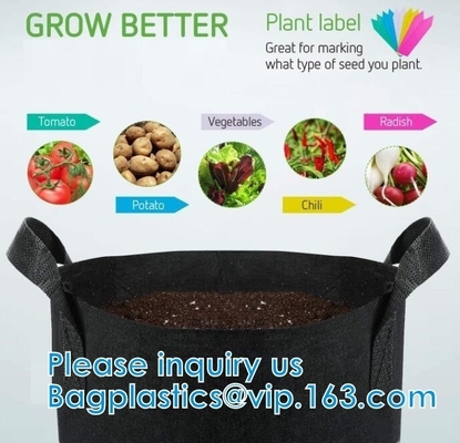 Heavy Duty 300G Thickened Nonwoven Plant Fabric Pots Strap Handles Garden Plant Bags / 6-Packs 5 Gallon Grow Bags/Aerati