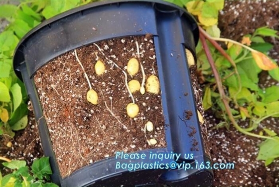 Plastic Garden Planter Pot Vegetable Growing Container Grow Vegetables: Potato, Carrot, Tomato, Ginger, Peanuts Onion