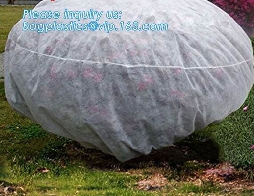 Frost Protection Perfect For Fruit Tree, Patio Trees, Raised Bed Vegetables, Shrubs, Potted Flowers, Tall Upright Plants