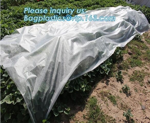 Frost Protection Perfect For Fruit Tree, Patio Trees, Raised Bed Vegetables, Shrubs, Potted Flowers, Tall Upright Plants