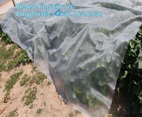 Frost Protection Perfect For Fruit Tree, Patio Trees, Raised Bed Vegetables, Shrubs, Potted Flowers, Tall Upright Plants
