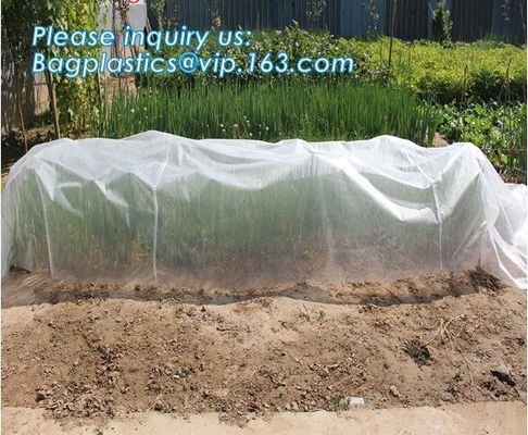 Frost Protection Perfect For Fruit Tree, Patio Trees, Raised Bed Vegetables, Shrubs, Potted Flowers, Tall Upright Plants