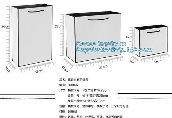 Paper Gift Bags With Handles Matte Luxury Modern Fancy Elegant For Presents Merchandise Retail Boutique Clothing Wedding