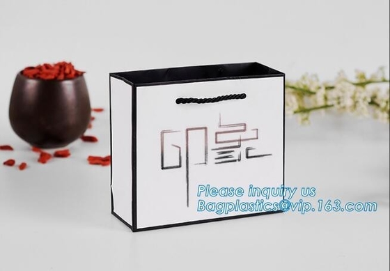 Paper Gift Bags With Handles Matte Luxury Modern Fancy Elegant For Presents Merchandise Retail Boutique Clothing Wedding