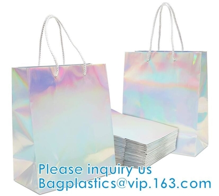Silver Iridescent Medium Gift Bags With Handles For Weddings, Birthdays pack, Metallic Presents Wrapping Party Favor Bag