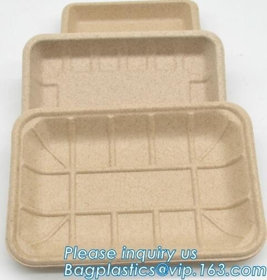 Plate Compostable Wheat Straw Fiber, Wheat Straw Dumpling Plate, Wheat straw eco plates customized wheat plate dishes an