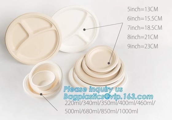 Ecofriendly Paper Pulp Sugarcane Bagasse 10" Round Plates,dessert dinner deep thali paper compostable bioplastic bagasse