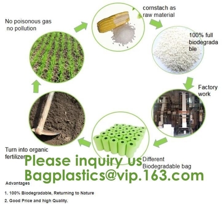 100% Biodegradable Compostable T-Shirt Vest Bag Shopping, Home, Decoration, Wedding, Supermarket, Restaurant, Bake