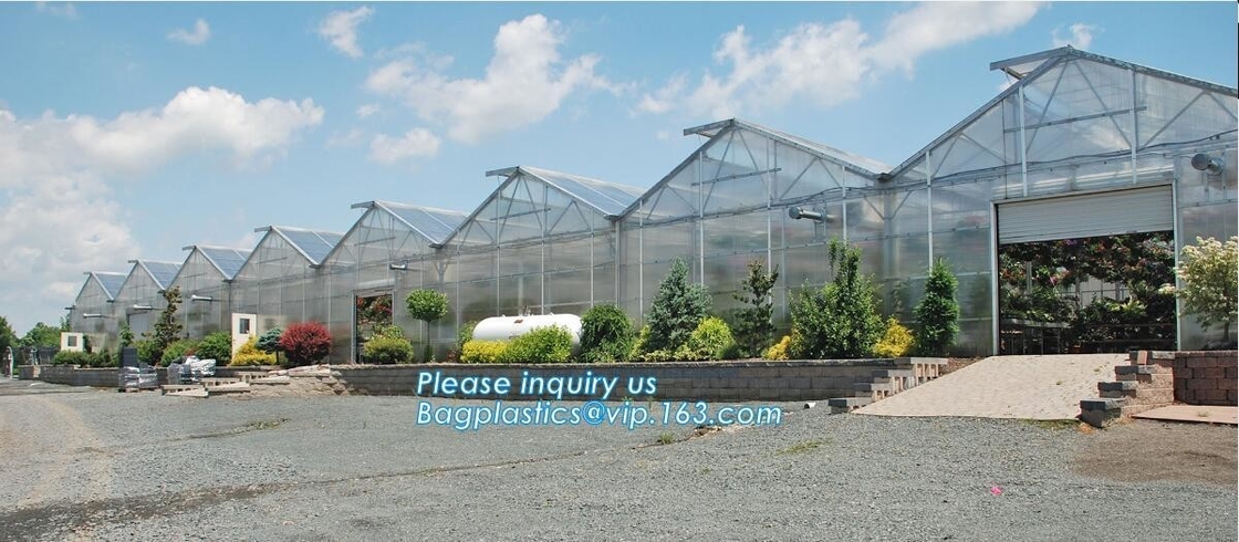 Tunnel Green House with Insect Screen,tunnel green house for crops planting/nursery,warm houses garden green house made